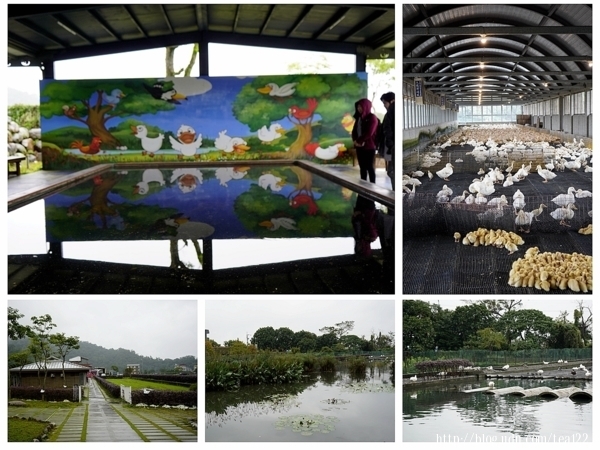 【宜蘭。旅遊】宜蘭親子旅遊、校外參觀最佳景點--宜蘭甲鳥園