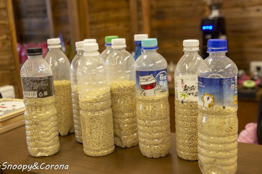 【玩樂．宜蘭】礁溪景點／甲鳥園～五星級清水模鴨舍，餵食鴨鴨、馬賽克DIY、還有好吃鴨蛋糕