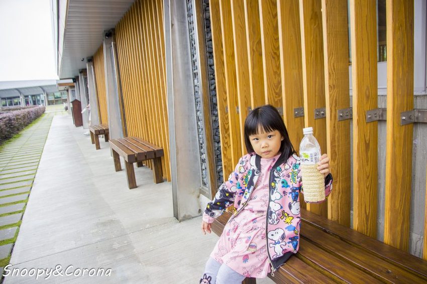【玩樂．宜蘭】礁溪景點／甲鳥園～五星級清水模鴨舍，餵食鴨鴨、馬賽克DIY、還有好吃鴨蛋糕