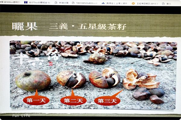 苗栗三義親子景點十六份人文茶館 勝興車站 擂茶 搗麻糬 榨苦茶油DSC00944