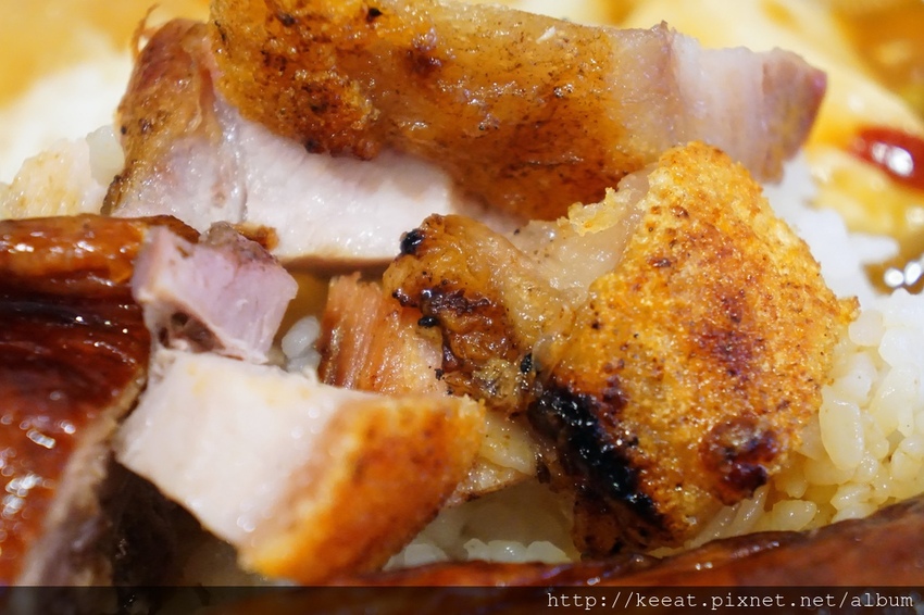 燒味鴨腿飯 燒味鴨腿飯