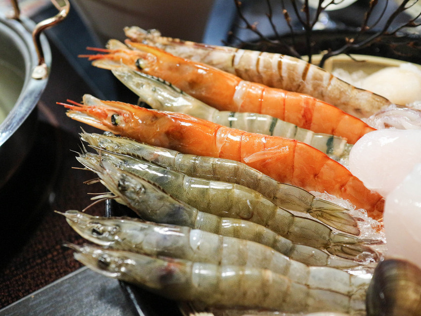 御品樂-東區麻辣養生鍋 (37)