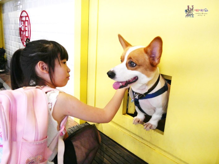 西門町美食,台北美食,豆花,本願豆花,祖傳豆花,銅板美食,統一發票