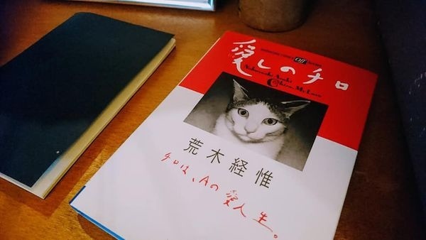 d6d00919fc55b0c312743a1db183b63b90bd01b0