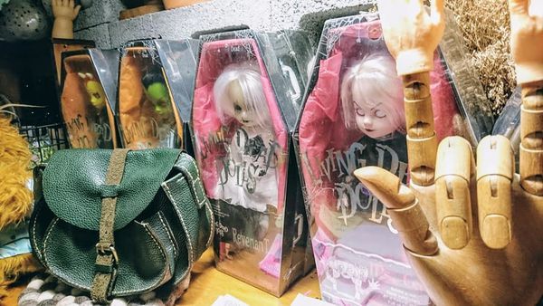 47491620_2167338616631149_6480304526594146304_n