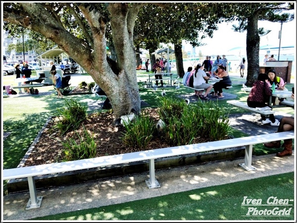 澳洲 黃金海岸(Gold Coast)：《澳洲景點》昆士蘭州黃金海岸魚市場-野生大嘴鳥(鵜鵠)餵食秀/魚市場午餐/2​018.9月澳洲之旅第五部曲-『黃金海岸』