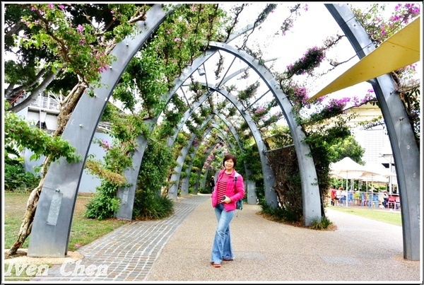 庫莎山.袋鼠角：《澳洲景點》2​018.9月澳洲之旅第一部曲\舊市政廳喬治王廣場\庫沙山\南岸公園\袋鼠角-『布理斯本』​