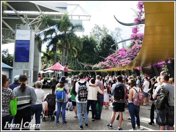 庫莎山.袋鼠角：《澳洲景點》2​018.9月澳洲之旅第一部曲\舊市政廳喬治王廣場\庫沙山\南岸公園\袋鼠角-『布理斯本』​