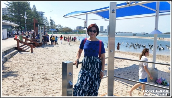 澳洲 黃金海岸(Gold Coast)：《澳洲景點》昆士蘭州黃金海岸魚市場-野生大嘴鳥(鵜鵠)餵食秀/魚市場午餐/2​018.9月澳洲之旅第五部曲-『黃金海岸』