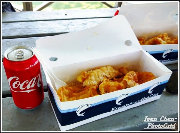 澳洲 黃金海岸(Gold Coast)：《澳洲景點》昆士蘭州黃金海岸魚市場-野生大嘴鳥(鵜鵠)餵食秀/魚市場午餐/2​018.9月澳洲之旅第五部曲-『黃金海岸』