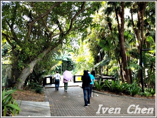 庫莎山.袋鼠角：《澳洲景點》2​018.9月澳洲之旅第一部曲\舊市政廳喬治王廣場\庫沙山\南岸公園\袋鼠角-『布理斯本』​