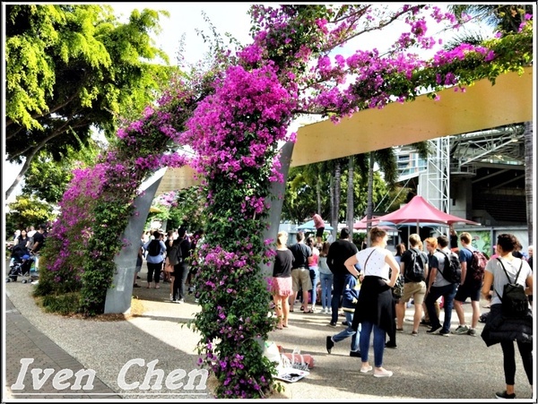 庫莎山.袋鼠角：《澳洲景點》2​018.9月澳洲之旅第一部曲\舊市政廳喬治王廣場\庫沙山\南岸公園\袋鼠角-『布理斯本』​