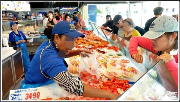 澳洲 黃金海岸(Gold Coast)：《澳洲景點》昆士蘭州黃金海岸魚市場-野生大嘴鳥(鵜鵠)餵食秀/魚市場午餐/2​018.9月澳洲之旅第五部曲-『黃金海岸』