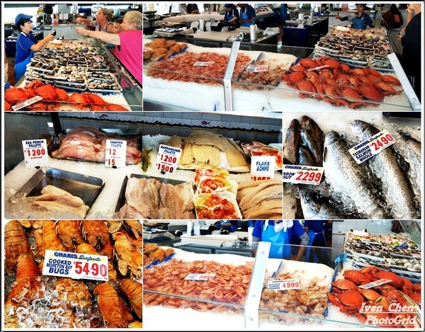 澳洲 黃金海岸(Gold Coast)：《澳洲景點》昆士蘭州黃金海岸魚市場-野生大嘴鳥(鵜鵠)餵食秀/魚市場午餐/2​018.9月澳洲之旅第五部曲-『黃金海岸』