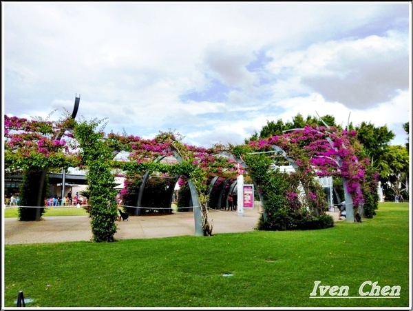 庫莎山.袋鼠角：《澳洲景點》2​018.9月澳洲之旅第一部曲\舊市政廳喬治王廣場\庫沙山\南岸公園\袋鼠角-『布理斯本』​