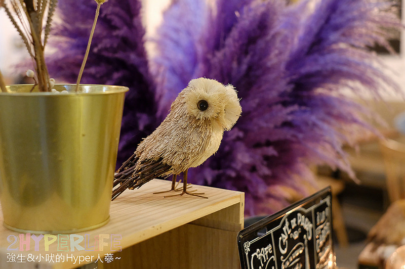 @強生與小吠的Hyper人蔘~