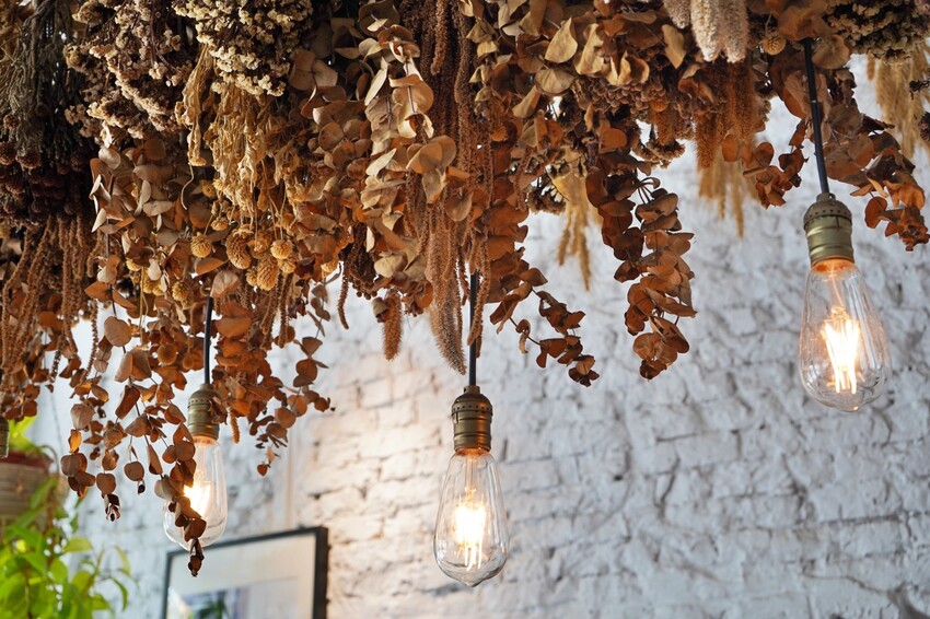 台中市西區擁有義法料理深厚底蘊,必點招牌海鮮燉飯、提拉米蘇,台中西區近勤美、審計新村與草悟道