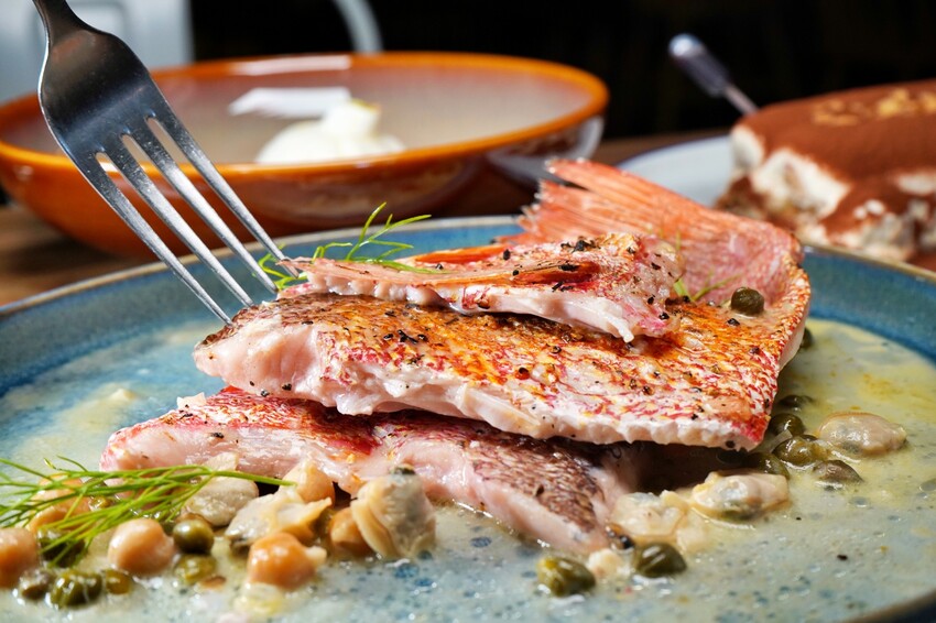 台中市西區擁有義法料理深厚底蘊,必點招牌海鮮燉飯、提拉米蘇,台中西區近勤美、審計新村與草悟道