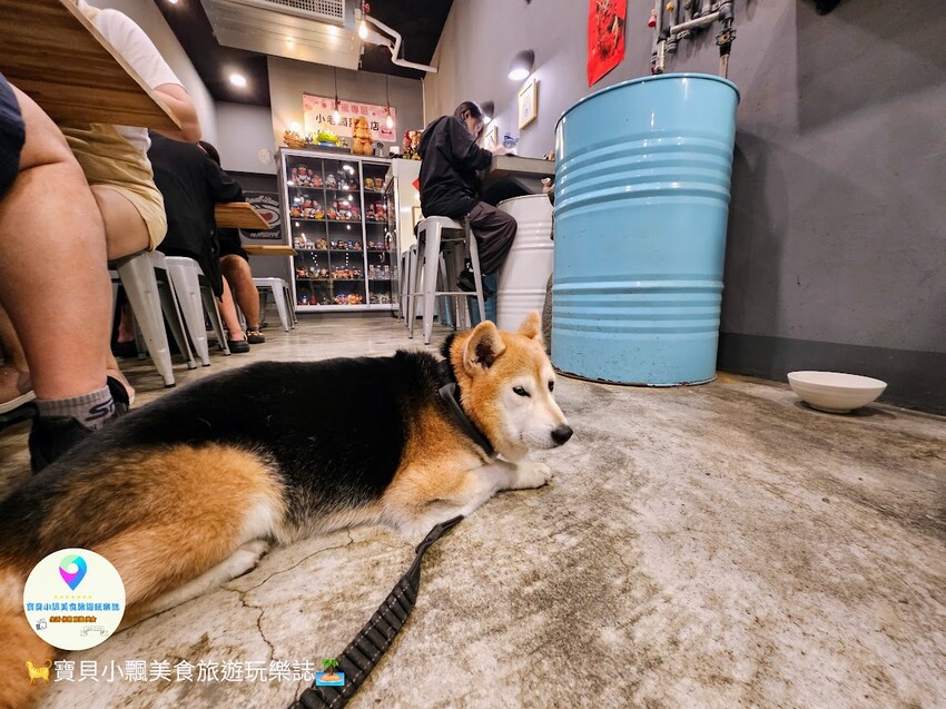 嘉義美食探店!文化路夜市隱藏版,小老闆甜品店必吃豆花奶酪,療癒系店狗陪你度過悠閒時光