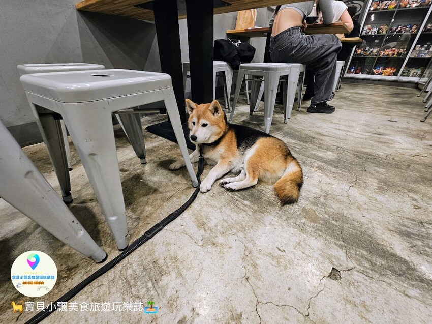 嘉義美食探店!文化路夜市隱藏版,小老闆甜品店必吃豆花奶酪,療癒系店狗陪你度過悠閒時光