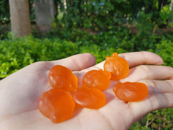 『口袋軟糖』海賊王惡魔果實軟糖|ONEPIECE限量綜合版|QQ軟糖好滋味|魯夫、喬巴、艾斯、羅 帶著走~