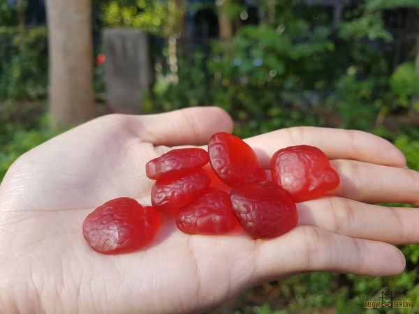 『口袋軟糖』海賊王惡魔果實軟糖|ONEPIECE限量綜合版|QQ軟糖好滋味|魯夫、喬巴、艾斯、羅 帶著走~