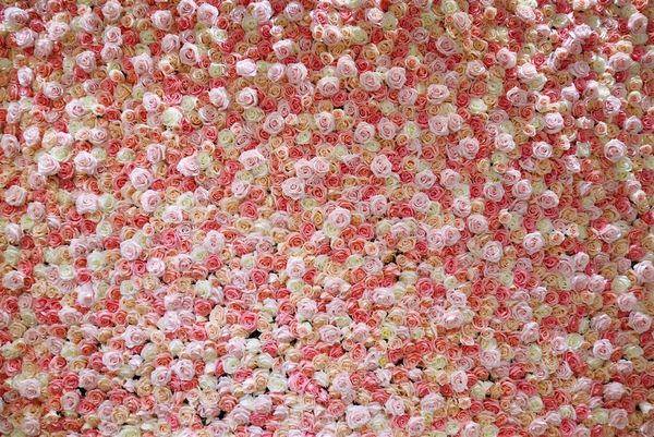 P1560833.JPG P1560833.JPG