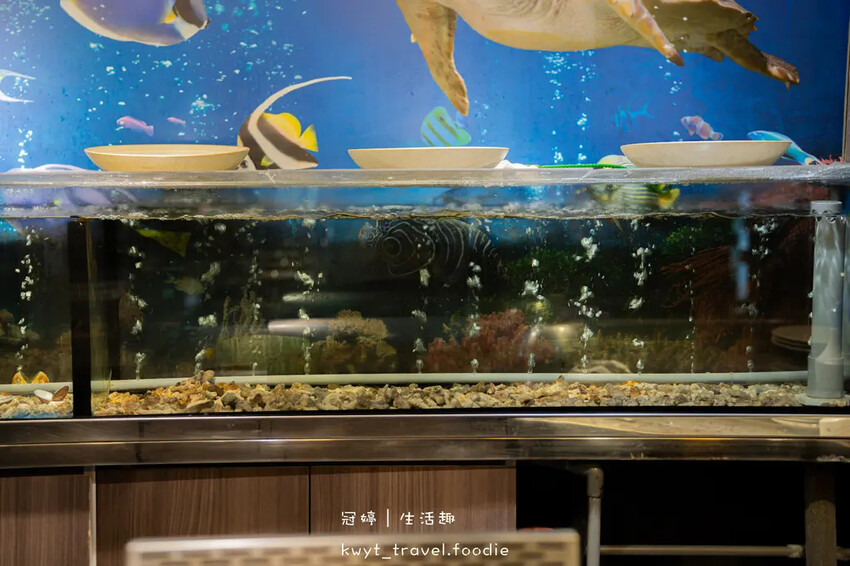 台北松山區餐酒館推薦_閑閑粵酒館，活體海鮮廣東菜，KTV包廂