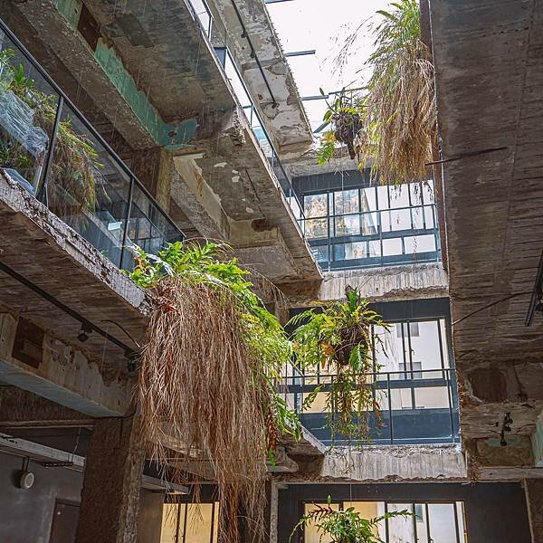 台中 中區 植光花園酒店 SOF HOTEL 7.jpeg