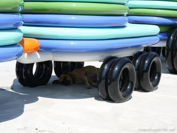 新台中火車站：台中景點│新台中火車站熱門打卡點！高八米半的期待旅行男孩，台中火車站前廣場也正式啟用囉～