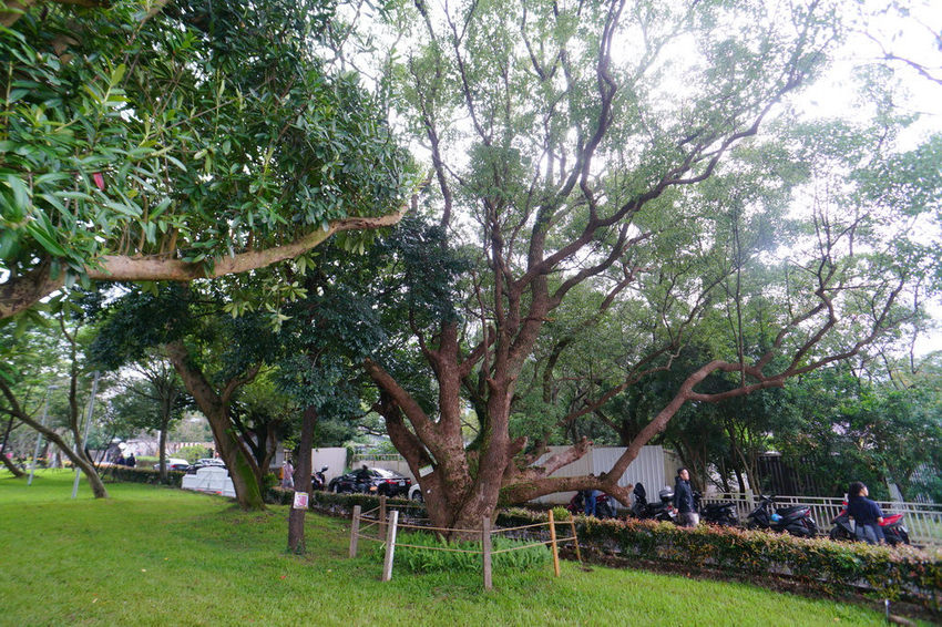 陽明山星巴克草山門市