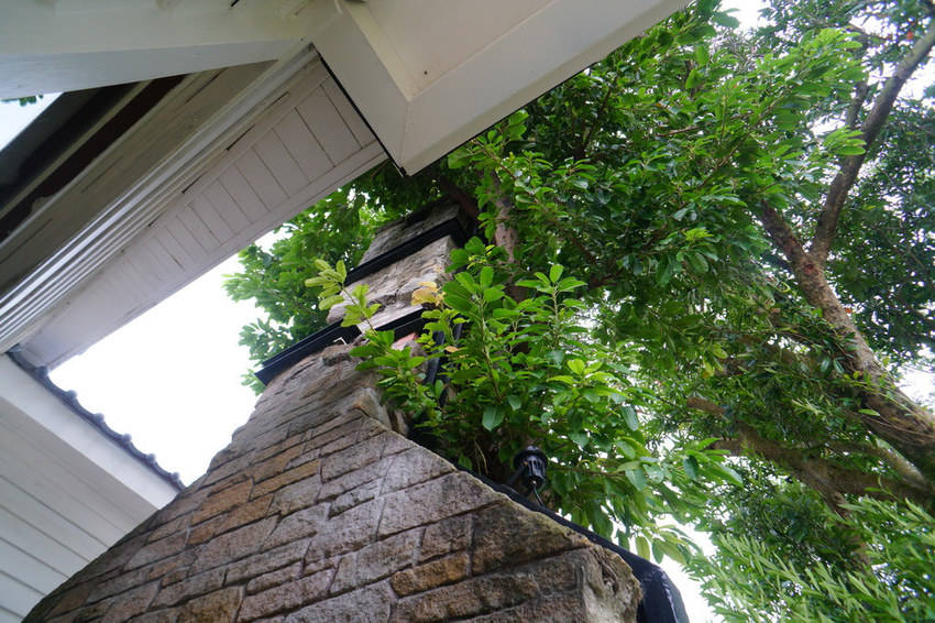 陽明山星巴克草山門市