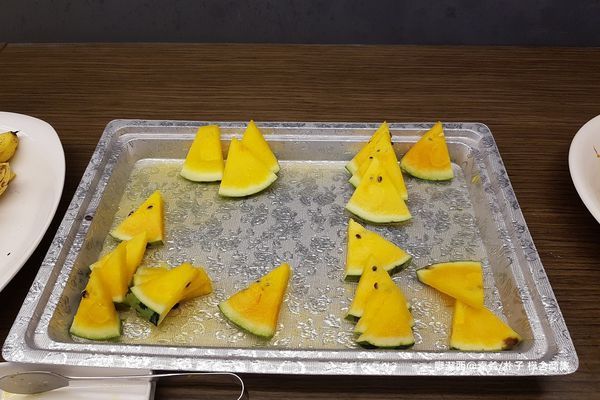 【嘉義/朴子】樺舍商旅