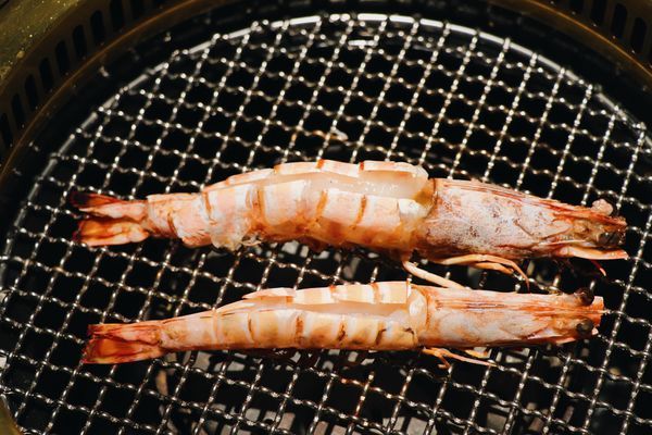 WMWI7297.JPG WMWI7297.JPG