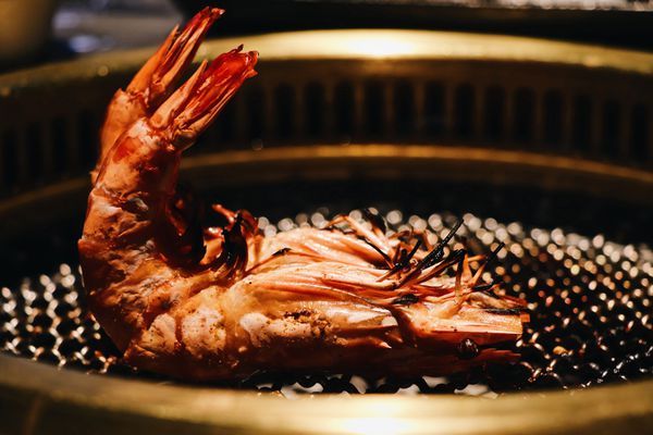 WFOQ3449.JPG WFOQ3449.JPG