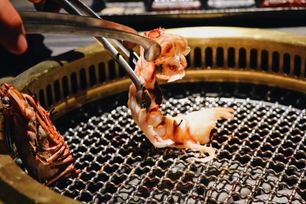 TIBC6045.JPG TIBC6045.JPG