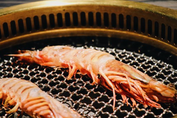 CRAK3982.JPG CRAK3982.JPG