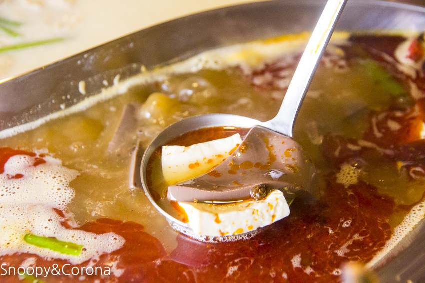 【東湖美食】捷運葫洲站麻辣火鍋／四川龍府～椒香迷人的麻辣鍋、道地夠味的四川料理，溫體牛肉鮮嫩多汁還買1送1