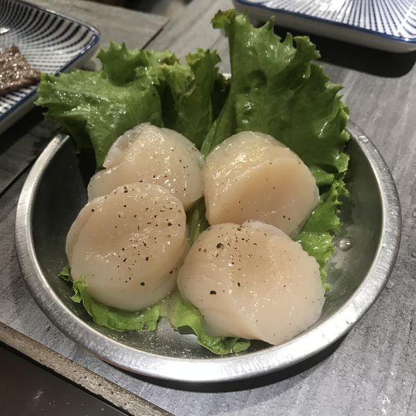 IMG_2172.jpg IMG_2172.jpg