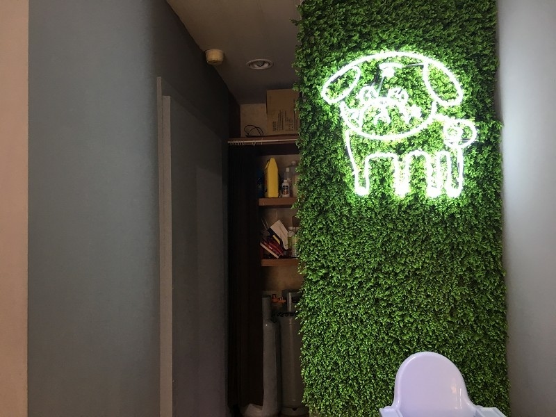 【板橋｜江子翠站】臭臉找餐 PugBreakfast＿早餐來點不一樣的菠蘿堡＿帶著萌寵來店裡郊遊吧