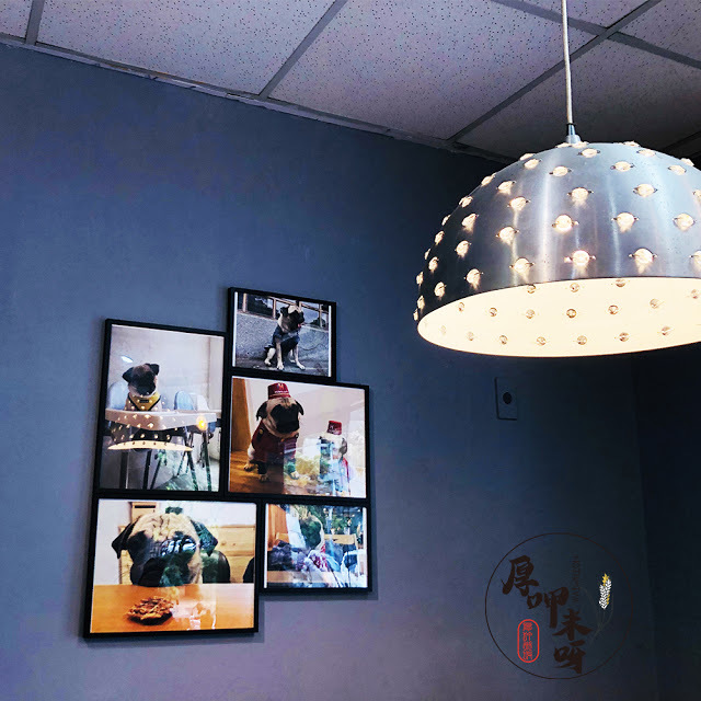 【厚呷米呀│新北板橋】臭臉找餐PUGBREAKFAST初訪 板橋在地早午餐/巷弄隱藏角落美食/菠蘿包漢堡獻給喜歡菠蘿愛好者/看到店招牌就知道店家愛動物--寵物友善餐廳