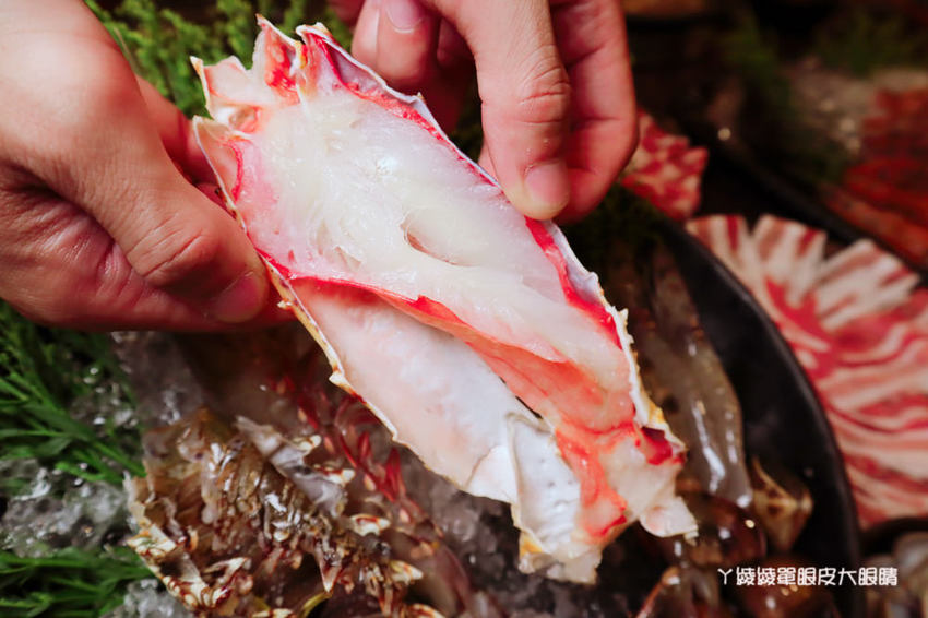 竹北火鍋吃到飽推薦鮮稻精緻鍋物！霸道海陸套餐、專屬好蝦套餐、肉肉套餐吃到爽