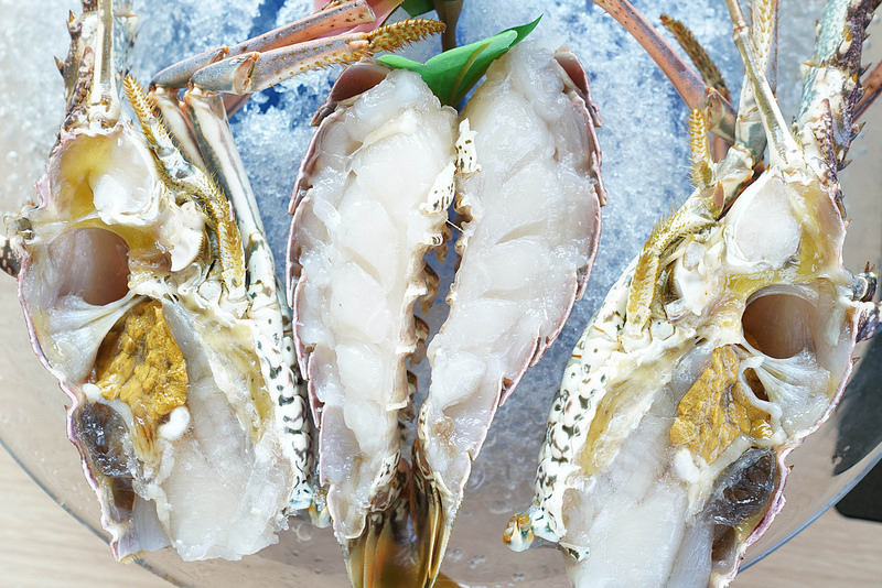 藏斯不藏私 (63)