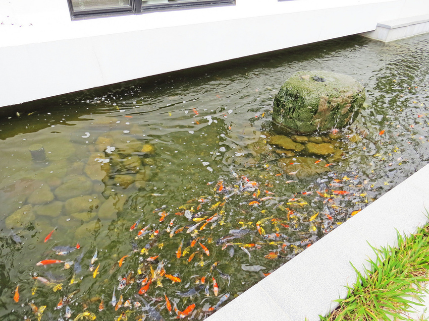 Aura Villa悠悅光宜蘭民宿推薦(兩光媽咪柳幼幼) (78)