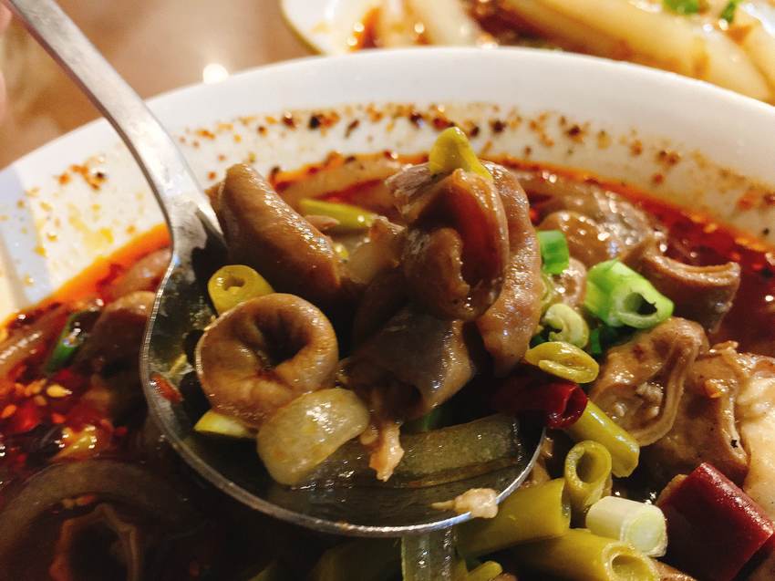 四川,重慶,辣,中山,川渝,酸辣粉,涼粉,我不是他媽媽,水煮牛肉,平價,銅板,人氣, 소주,焼酎,人気のスナック,인기있는 간식,宿泊施設,8回のパス