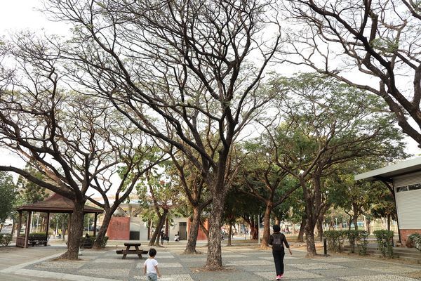 IMG_1308.jpg IMG_1308.jpg