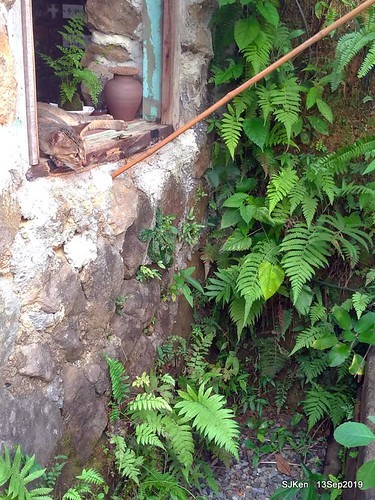 Cafe Hytte, nearby Sandiaoling, Hsinpei City, Taiwan, SJKen, Sep 13, 2019