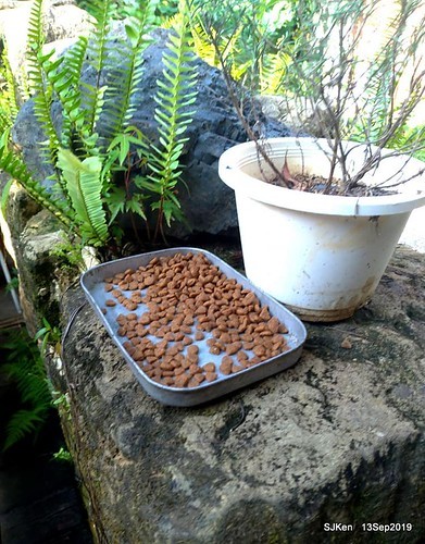 Cafe Hytte, nearby Sandiaoling, Hsinpei City, Taiwan, SJKen, Sep 13, 2019