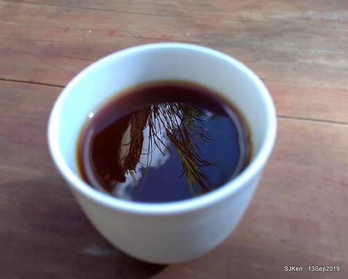 Cafe Hytte, nearby Sandiaoling, Hsinpei City, Taiwan, SJKen, Sep 13, 2019