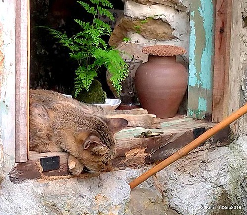 Cafe Hytte, nearby Sandiaoling, Hsinpei City, Taiwan, SJKen, Sep 13, 2019